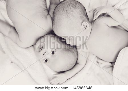 Two Sweet Twins