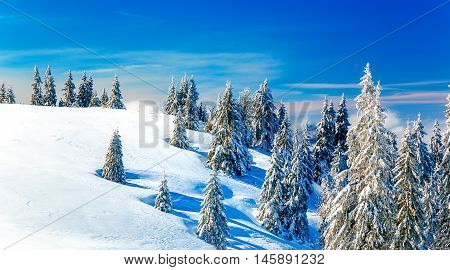 Beautiful mountain snowy landscape and snow covered trees. Beautiful sunny day in the mountains