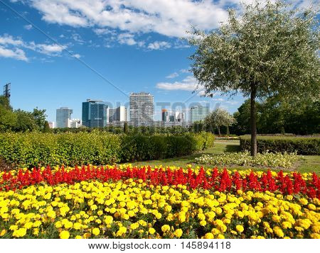 Office buildings in Danube City Vienna Austria. Beautiful garden and tree in foreground