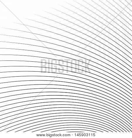 Thin Dynamic Curved Lines Monochrome Geometric Pattern