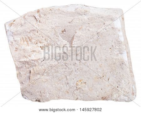 Piece Of Chemogenic Limestone Mineral Isolated