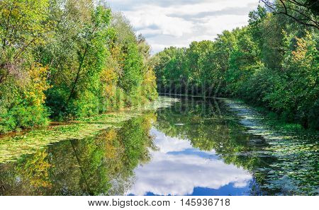 Sunny landscape of river greenwood forest and cloudy sky reflected in water
