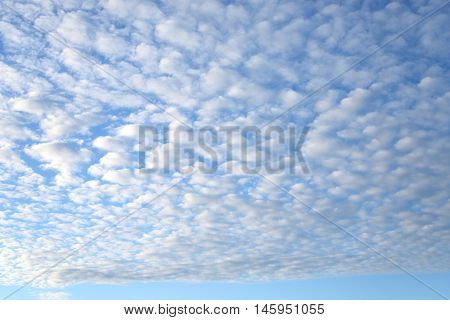 Blue sky and altocumulus clouds may be used as background.