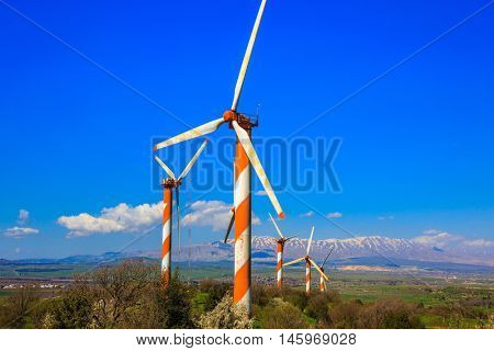 Israel. Flowering Golan Heights on a sunny day. Several huge modern windmills. Seen in the distance the snow-covered Hermon