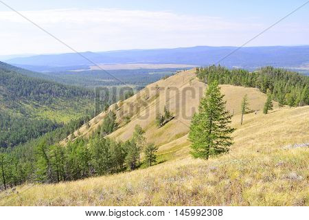 Not high relief mountain with trees and grass