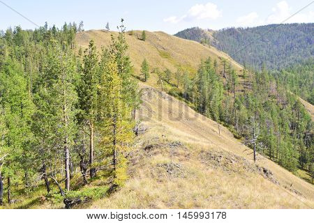 Not high relief mountain with trees and grass