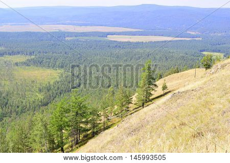 Not high relief mountain with trees and grass
