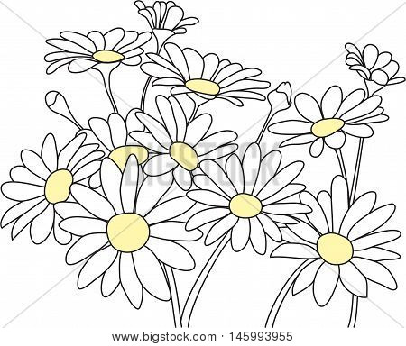 Outline a bouquet of daisies black and white
