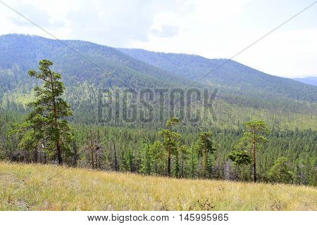 Not high relief mountain with trees and grass
