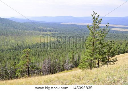 Not high relief mountain with trees and grass