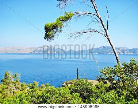 Bay Of Pollenca, Formentor Peninsula - North Coast Of Majorca