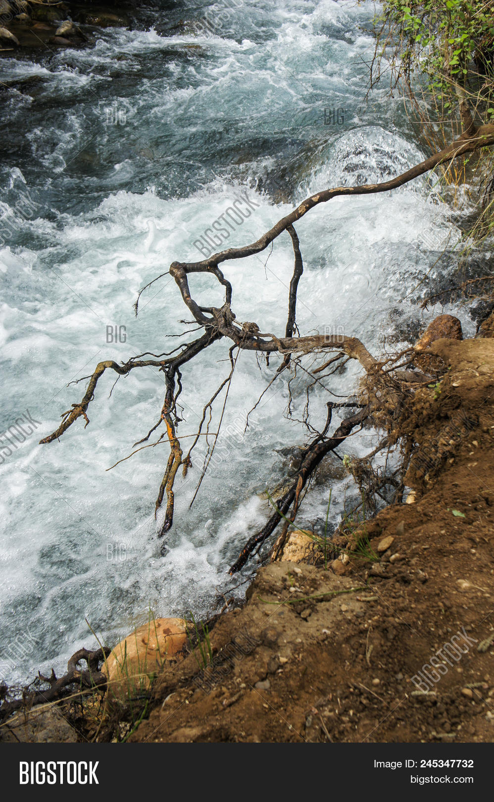 Wood Snag On River Image & Photo (Free Trial) Bigstock
