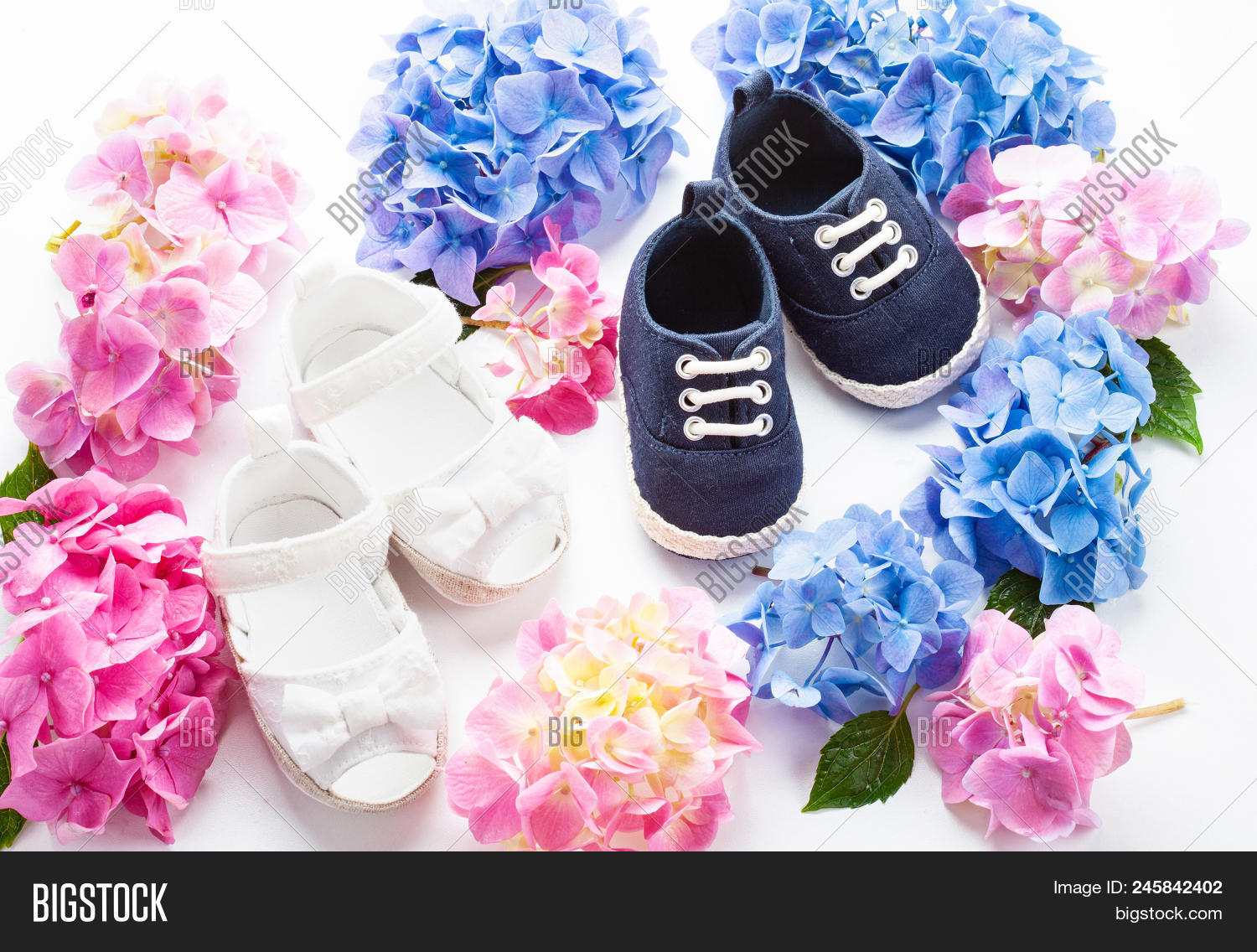 Cute Newborn Baby Boy Girl Shoes Image Photo Bigstock Cute Newborn Baby Boy And Girl Shoes With Hortensia Flowers Decoration Shower Twins