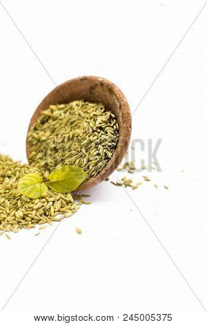 Raw Fennel With Its Powder And Its Beneficial Tea Or Extract In A Transparent Cup Isolated On White.