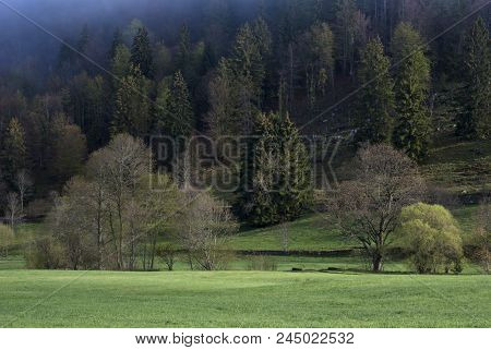 Misty Landscape Near Menzenschwand In The German Black Forest