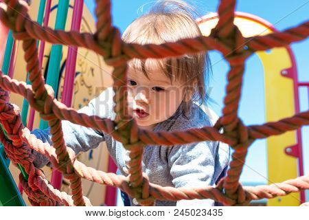 Multracial Toddler Boy Climbing On A Playground Ropes