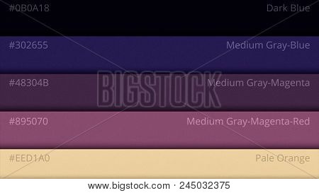 Color Pallette, Cosmic Colors. Color Palette With Various Samples. Paint Selection Catalog.