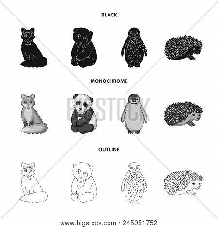 Fox, Panda, Hedgehog, Penguin And Other Animals.animals Set Collection Icons In Black, Monochrome, O