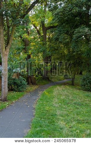 A Pathway In Autumn In Backhouse Park, Sunderland