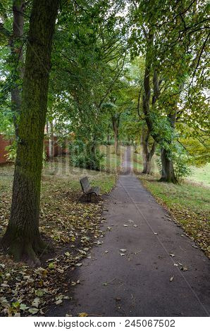 An Autumnal Walkway In Backhouse Park, Sunderland