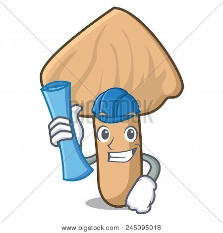 Architect Inocybe Mushroom Character Cartoon Vector Illustration