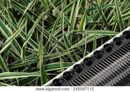 Grass On A Background Of Iron Details. Background Image Of The Interaction Of Nature And Technology.