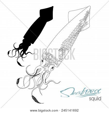 Squid Fish Silhouette. Icon Squid With Tentacles Isolated On White Background. Creature Floating In 