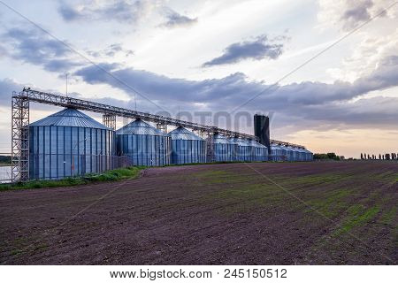 Industrial Metal Containers For Storage Of Grain, Sunflower Seeds, Corn, Soybeans, And Rabs At Sunse