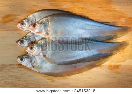 Fresh Of Clown Knifefish On Wooden Background