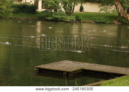 A Lake In The Middle Of A Forest In The Sun. There Are Also Birds And Ducks Which Rest Around The La
