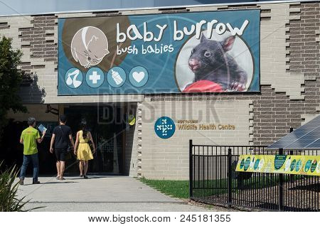 Healesville, Australia - October 28, 2015: Australian Wildlife Health Centre, A Veterinary Clinic Fo