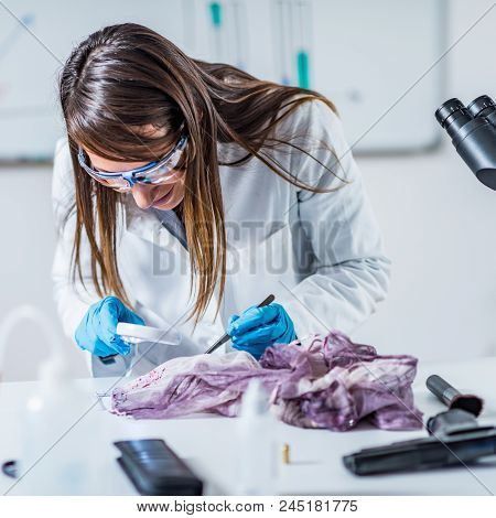 Forensic Science Expert Examining Traces Of Blood On A Piece Of Cloth Collected At A Crime Scene