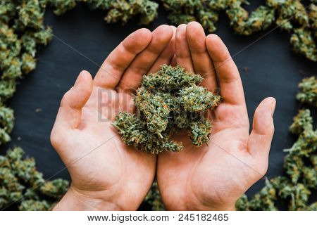 Grinder A Lot Ofx Marijuana, Fresh Buds Of Cannabis Many Weed. Copy Spase Copy-space