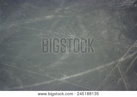 Aerial Picture Of The Bird Figure At Nazca Lines Seen From The Plane, Nazca Lines, Peru