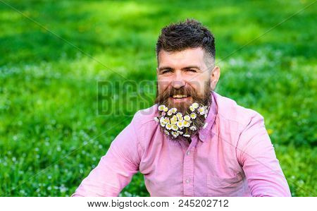 Man With Beard On Smiling Face Enjoy Life Without Allergy. Hipster With Daisies Looks Happy, Copy Sp