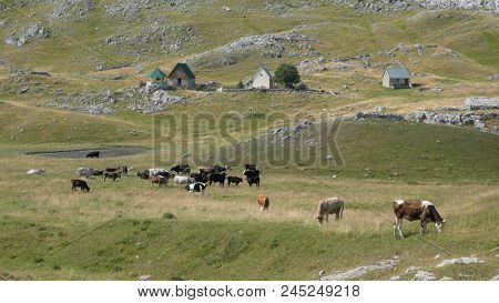 countryside village in Lukavica, Montenegro 