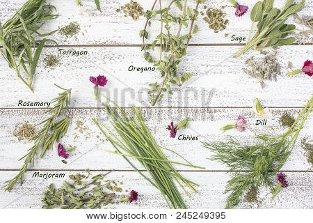 Tarragon, Rosemary, Chives, Sage, Marjoram And Dill Herbs On A Rustic Table Top With Edible Flowers