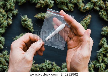 Grinder A Lot Ofx Marijuana, Fresh Buds Of Cannabis Many Weed. Copy Spase Copy-space