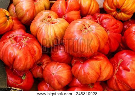 Oxheart Tomato Is A Large Beefsteak Type Tomato, Resembling An Ox Heart, Which Is A Sweet Pink Red F