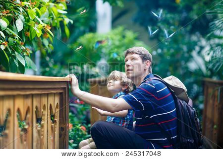 Father And Preschool Kid Boy Discovering Flowers, Plants And Butterflies At Botanic Garden. Family, 