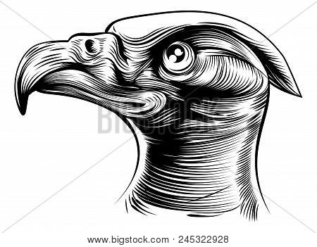 An Original Illustration Of An Eagles Head In A Vintage Woodblock Or Woodcut Style