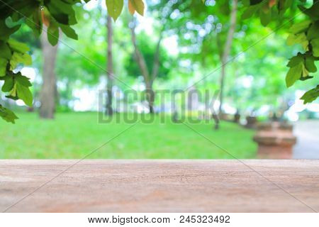 Abstrac Makes The Trees Look Blue And The Sky Is Beautiful. Use As Background Green From Nature Back
