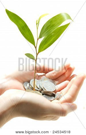 Coins In Hand