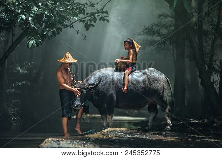 Dad And Son This Is Lifestyle Of Family Farmer At Rural Asia. Traditional Life Of Famer In Countrysi