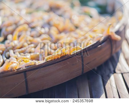 Silk Worm From Thailand. The Fabric Weaving Is Beautiful.
