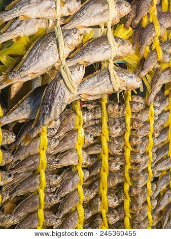 Hanging Dried Fish - Yellow Rope - Market
