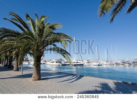 Palma De Mallorca, Spain - June 13, 2018: Palma Port Marina Yachts And Mediterranean Mood With Palm 
