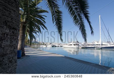 Palma De Mallorca, Spain - June 13, 2018: Palma Port Marina Yachts And Mediterranean Mood With Palm 