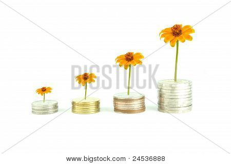 The Increase In Interest Rates