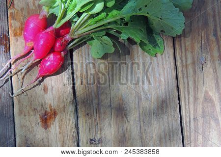 Fresh Aromatic Juicy Ripe Vegetables Radish And Juicy Greens Parsley Dill Pepper Bay Leaf Layout Pat